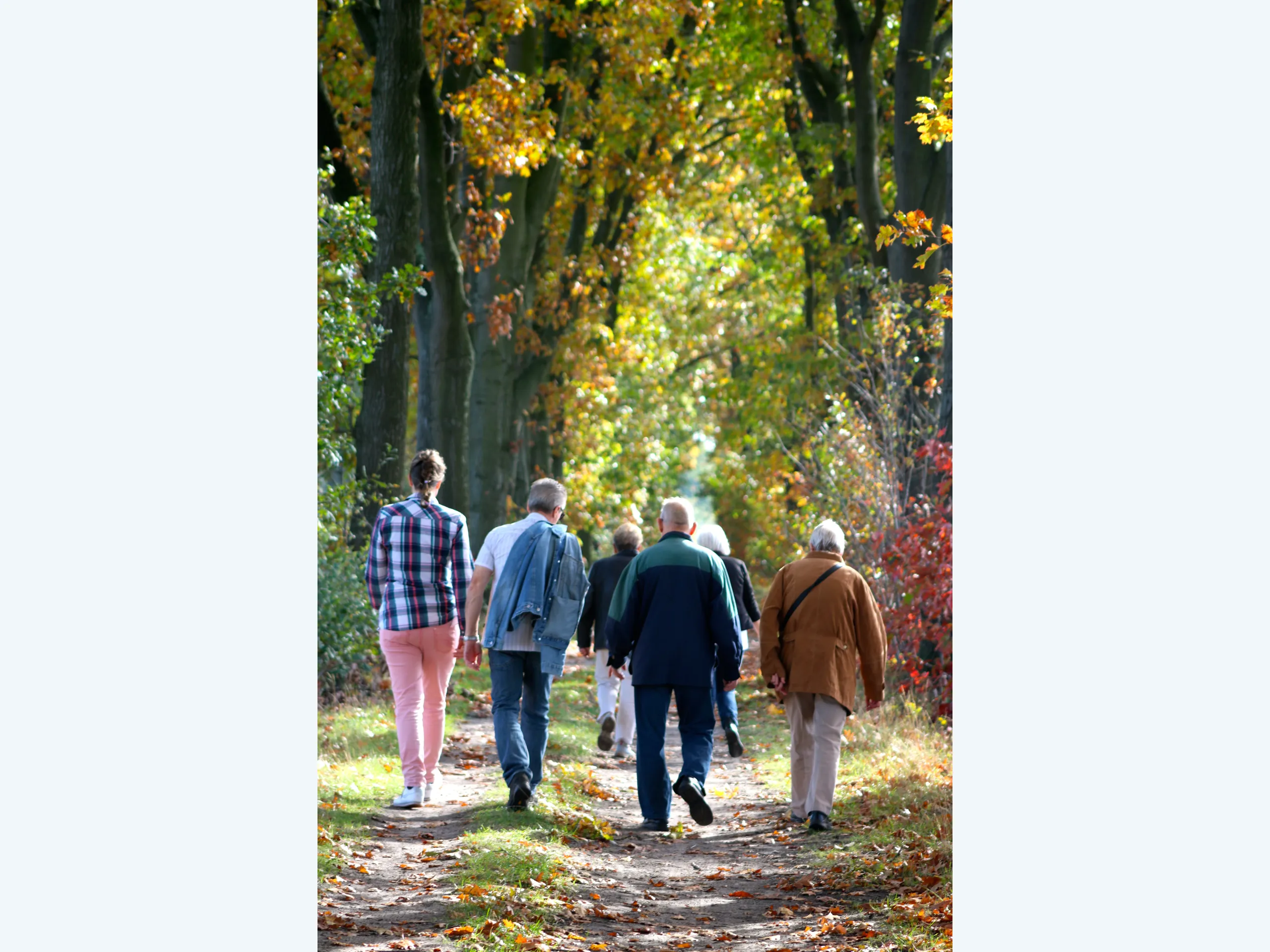 Afbeelding voor activiteit: Rouwwandeling Humanitas