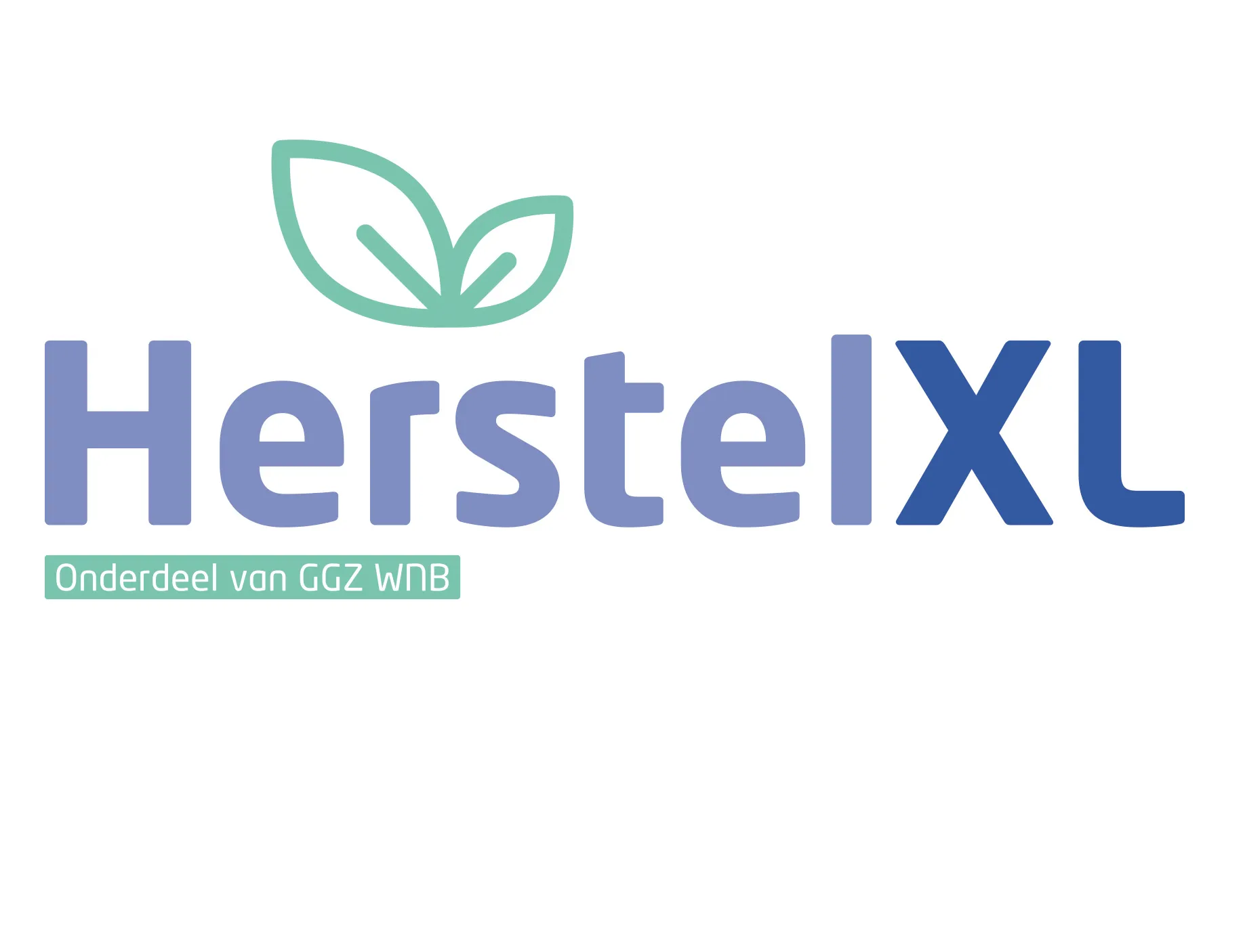 Afbeelding voor activiteit: Happy Stones Schilderen