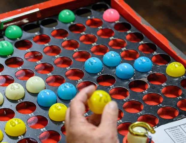Afbeelding voor activiteit: Bingo go festa
