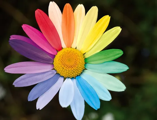 Afbeelding voor activiteit: TRAINING:  SAMEN ANDERS, SAMEN STERK  -  Ontdek de kracht van verschillen.