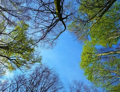 Afbeelding voor activiteit: Lentewandeling 